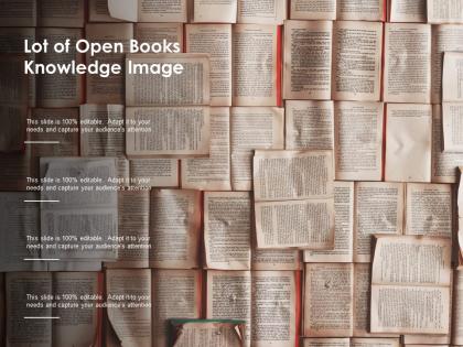 Lot of open books knowledge image