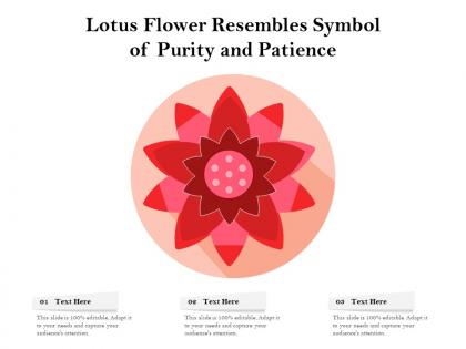 Lotus flower resembles symbol of purity and patience