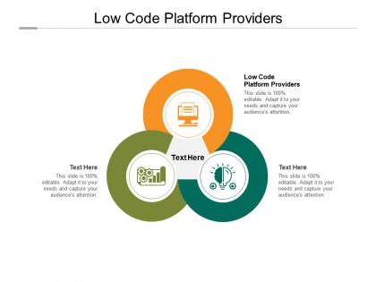 Low code platform providers ppt powerpoint presentation icon guide cpb