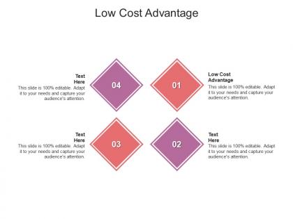 Low cost advantage ppt powerpoint presentation summary portrait cpb