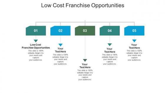 Low cost franchise opportunities ppt powerpoint presentation outline examples cpb