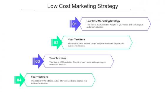 Low Cost Marketing Strategy Ppt Powerpoint Presentation Visual Aids Icon Cpb