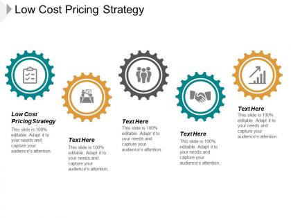 Low cost pricing strategy ppt powerpoint presentation infographic template format cpb
