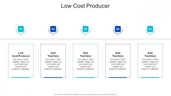 Low Cost Producer In Powerpoint And Google Slides Cpb