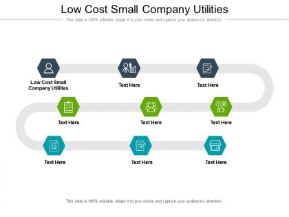 Low cost small company utilities ppt powerpoint presentation show model cpb