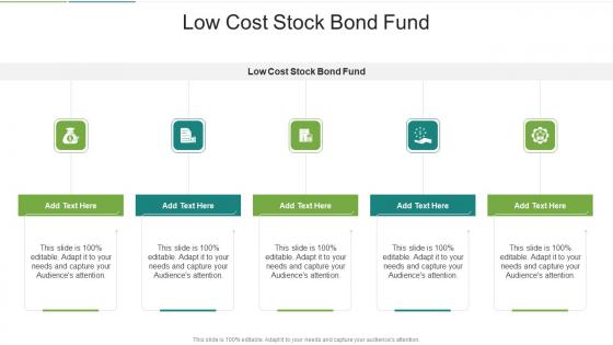 Low Cost Stock Bond Fund In Powerpoint And Google Slides Cpb