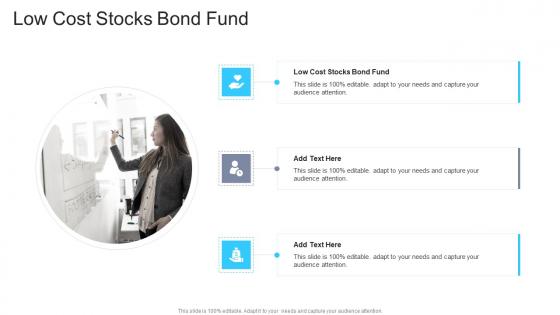 Low Cost Stocks Bond Fund In Powerpoint And Google Slides Cpb