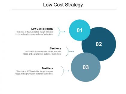 Low cost strategy ppt powerpoint presentation file example cpb