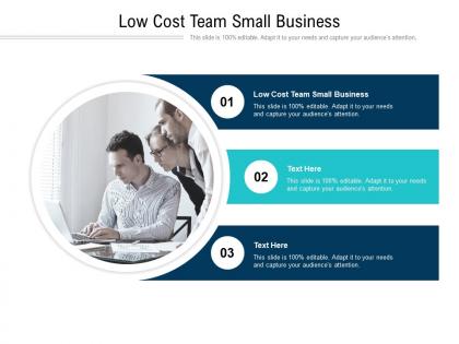 Low cost team small business ppt powerpoint presentation portfolio maker cpb