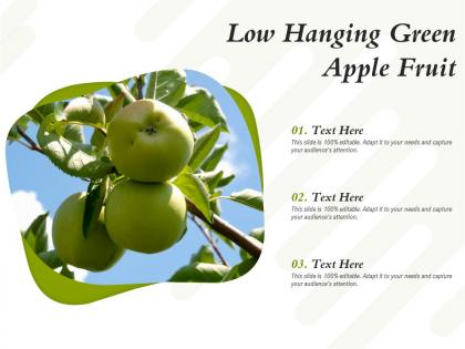 Low hanging green apple fruit
