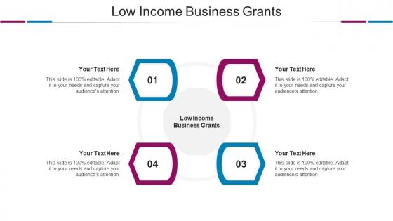 Low Income Business Grants Ppt Powerpoint Presentation Infographic Layout Cpb
