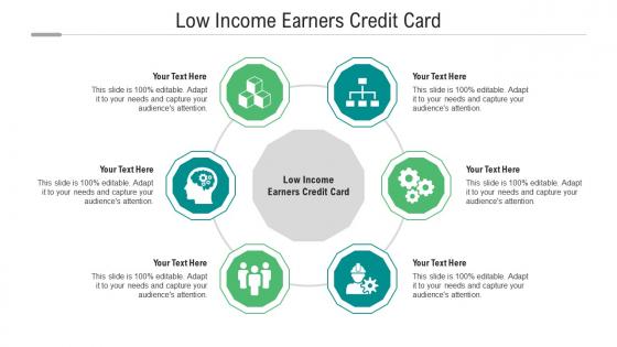 Low income earners credit card ppt powerpoint presentation infographics outline cpb