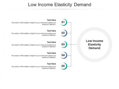 Low income elasticity demand ppt powerpoint presentation model images cpb