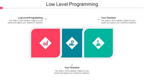Low Level Programming Ppt Powerpoint Presentation Icon Example Introduction Cpb