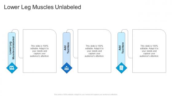 Lower Leg Muscles Unlabeled In Powerpoint And Google Slides Cpb