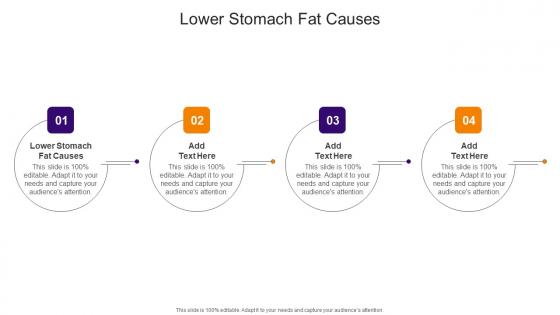 Lower Stomach Fat Causes In Powerpoint And Google Slides Cpb