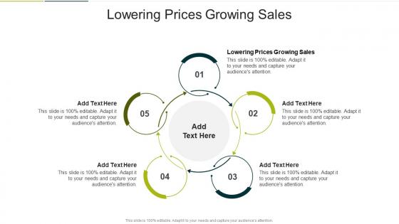 Lowering Prices Growing Sales In Powerpoint And Google Slides Cpb