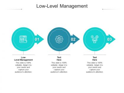 Lowlevel management ppt powerpoint presentation infographic template guide cpb