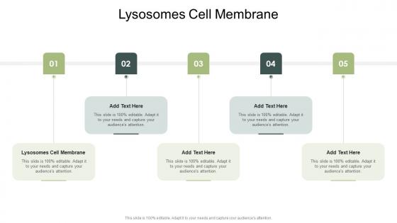 Lysosomes Cell Membrane In Powerpoint And Google Slides Cpb