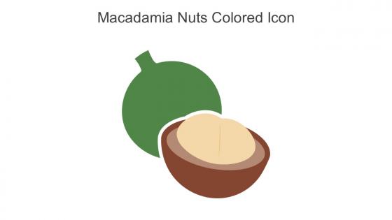 Macadamia Nuts Colored Icon In Powerpoint Pptx Png And Editable Eps Format
