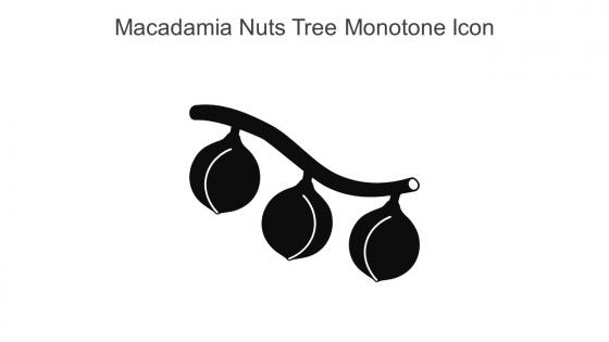 Macadamia Nuts Tree Monotone Icon In Powerpoint Pptx Png And Editable Eps Format