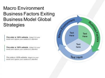 Macro environment business factors exiting business model global strategies