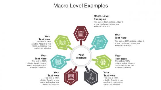 Macro level examples ppt powerpoint presentation show templates cpb