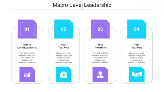 Macro Level Leadership Ppt Powerpoint Presentation Styles Shapes Cpb
