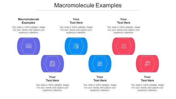Macromolecule Examples Ppt Powerpoint Presentation Infographics Deck Cpb