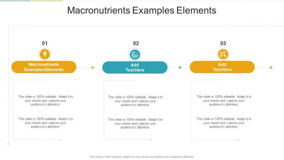 Macronutrients Examples Elements In Powerpoint And Google Slides Cpb