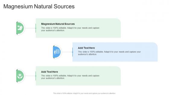 Magnesium Natural Sources In Powerpoint And Google Slides Cpb