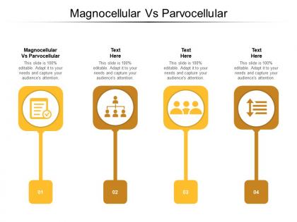 Magnocellular vs parvocellular ppt powerpoint presentation icon layouts cpb