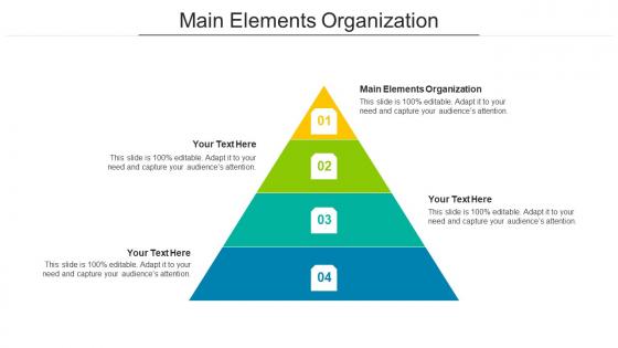 Main Elements Organization Ppt Powerpoint Presentation Model Background Images Cpb