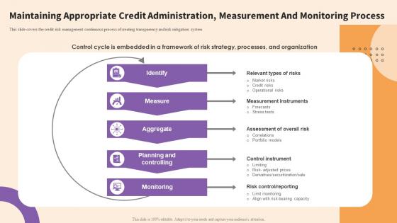 Maintaining Appropriate Administration Measurement Principles Tools Techniques Credit Risks Management