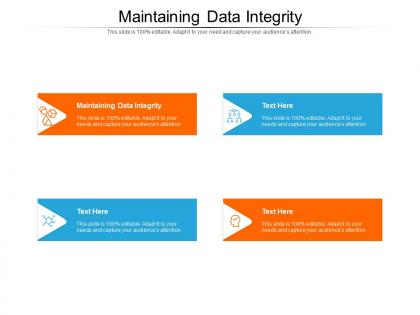 Maintaining data integrity ppt powerpoint presentation portfolio icon cpb