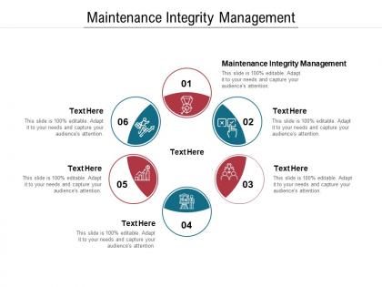 Maintenance integrity management ppt powerpoint presentation icon graphic tips cpb