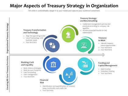 Major aspects of treasury strategy in organization