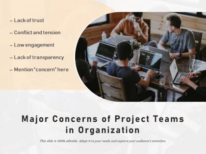 Major concerns of project teams in organization