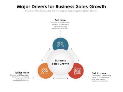 Major drivers for business sales growth