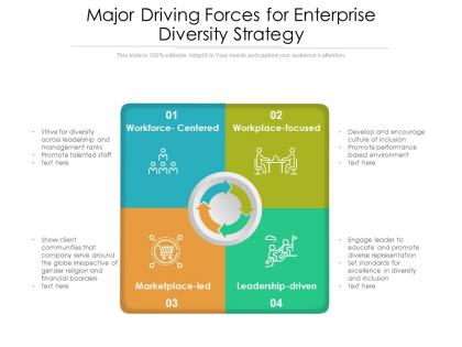 Major driving forces for enterprise diversity strategy