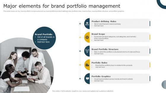 Major Elements For Brand Portfolio Management Aligning Brand Portfolio Strategy With Business
