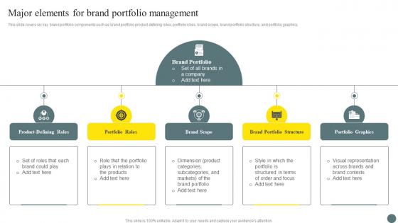 Major Elements For Brand Portfolio Management Brand Portfolio Management Process