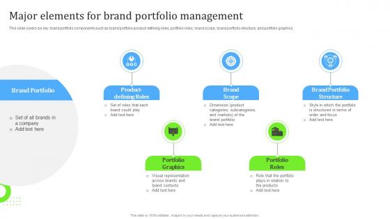 Major Elements For Brand Portfolio Management Ppt File Background Image