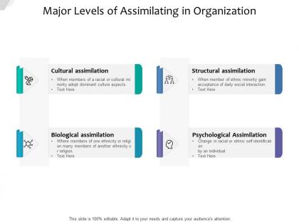 Major levels of assimilating in organization