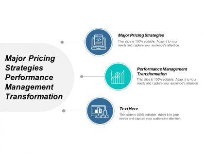 Major pricing strategies performance management transformation leadership models cpb