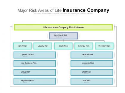 Major risk areas of life insurance company