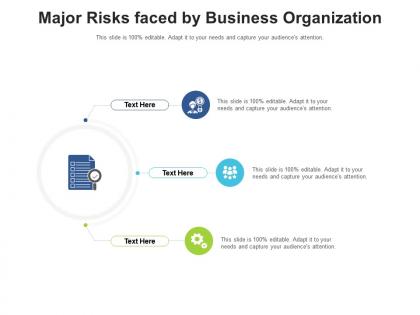 Major risks faced by business organization infographic template