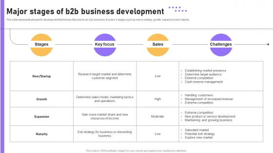 Major Stages Of B2b Business Development B2b E Commerce Platform Management