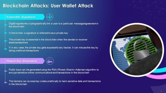 Major Types Of User Wallet Attacks On Blockchain Training Ppt