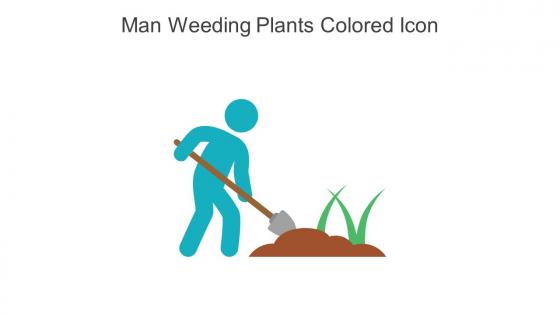 Man Weeding Plants Colored Icon In Powerpoint Pptx Png And Editable Eps Format